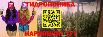 прущие крисы Малгобек
