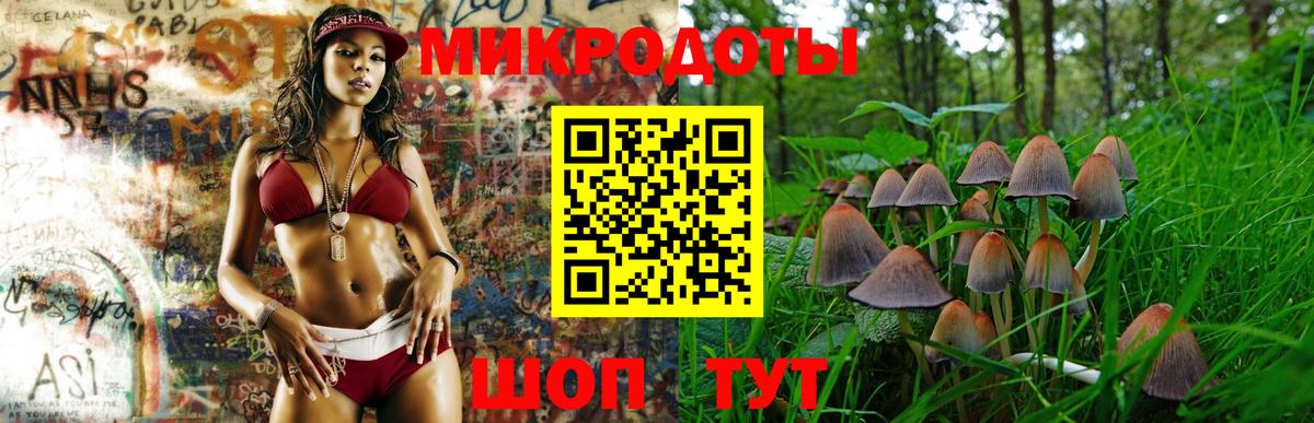 Ульяновск  наркота  Вход с VPN  Галлюциногенные грибы Psilocybe 